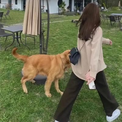 女校异艳录